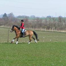 Anden særlig race Tue R.I.P