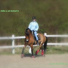 Anden særlig race Tue R.I.P