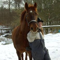 Frederiksborg Zarif Viemosegaard*X-part*