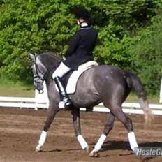 DSP Nørlunds Sunbeam *SOLGT*