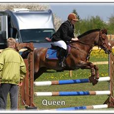 Anden særlig race | Queen |