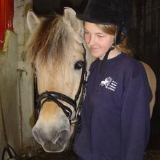 Fjordhest BINE R.I.P.