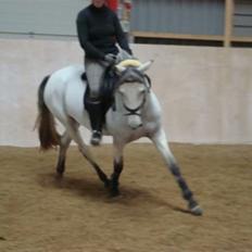 Anden særlig race mulan 