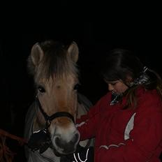 Fjordhest Rikke *Gammel Part*