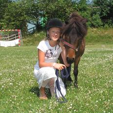 Shetlænder Bygge´s  Malissa <3