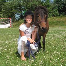 Shetlænder Bygge´s  Malissa <3