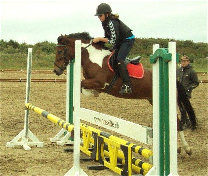 Anden særlig race Molly <3 *SAVN* - At lægge over xD! billede 9