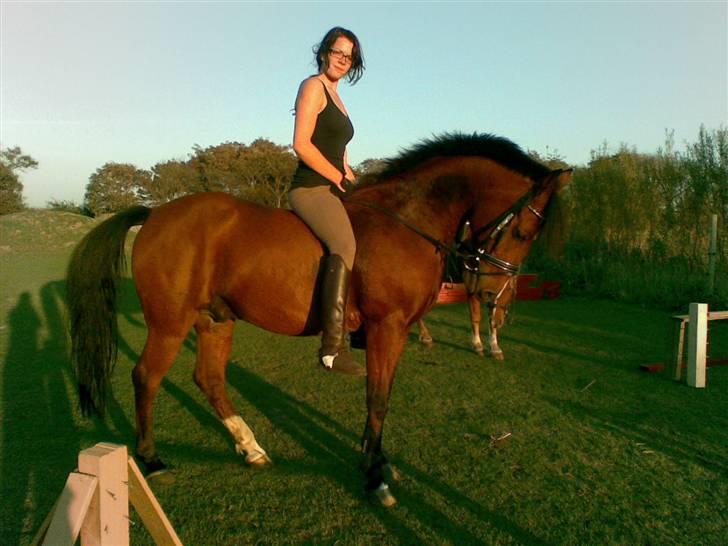 Anden særlig race Joachim  - solgt :(- - joakim<3 billede 1