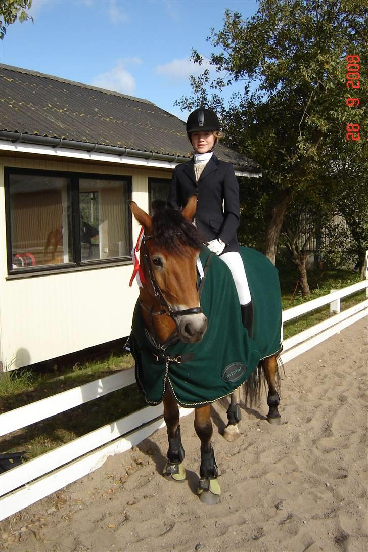 Anden særlig race Tue R.I.P - Det er ude på lyng ridecenter hvor jeg vinder 1. og 2. pladsen billede 1