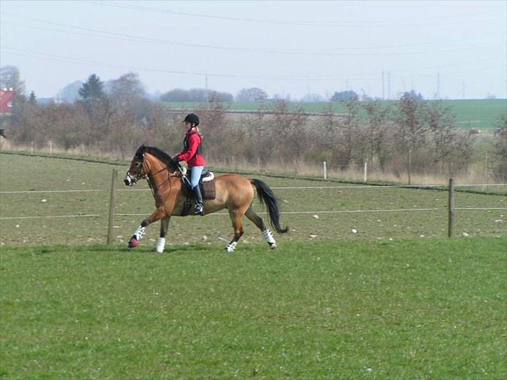 Anden særlig race Tue R.I.P billede 2