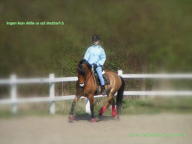 Anden særlig race Tue R.I.P billede 3