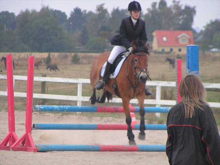 Anden særlig race Tue R.I.P - første pladsen på rideklubben vestervang billede 4