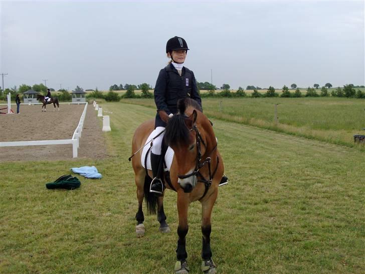 Anden særlig race Tue R.I.P - Til stævne på team cabe, hvor jeg midster stigebøjlen på springbanen:( billede 5