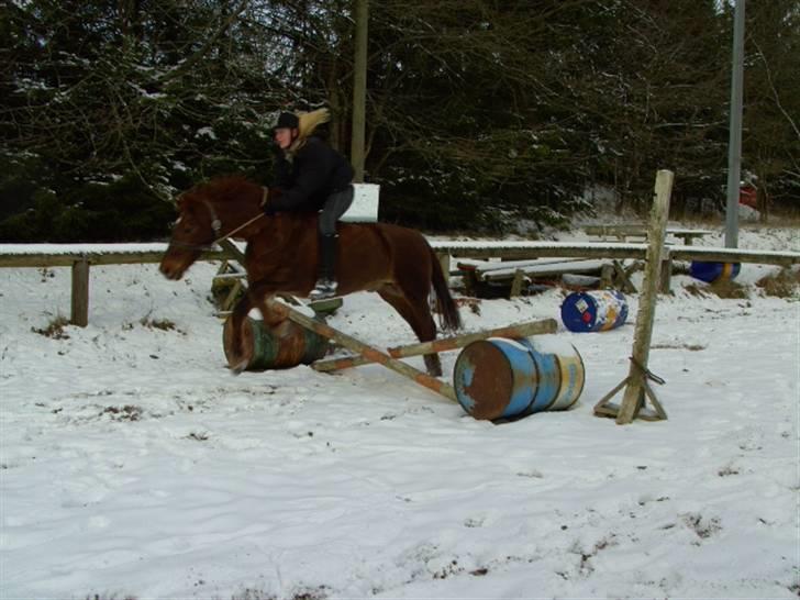 Frederiksborg Zarif Viemosegaard*X-part* - Sofie springe mig med grime og træktov. billede 5