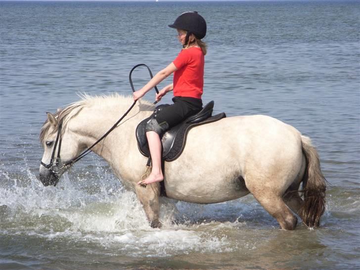 Anden særlig race ¨˜°º•¤ Freja ¤•º°˜¨solgt  - Mig og min hest, er ude og bade ,og min hest leger i vand billede 6