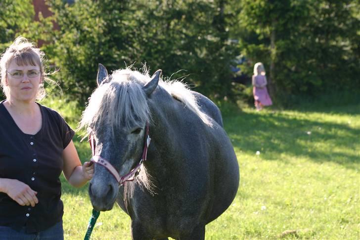Connemara Olympia Aavang *Solgt* - Lige inden hun fik JJ :D billede 8
