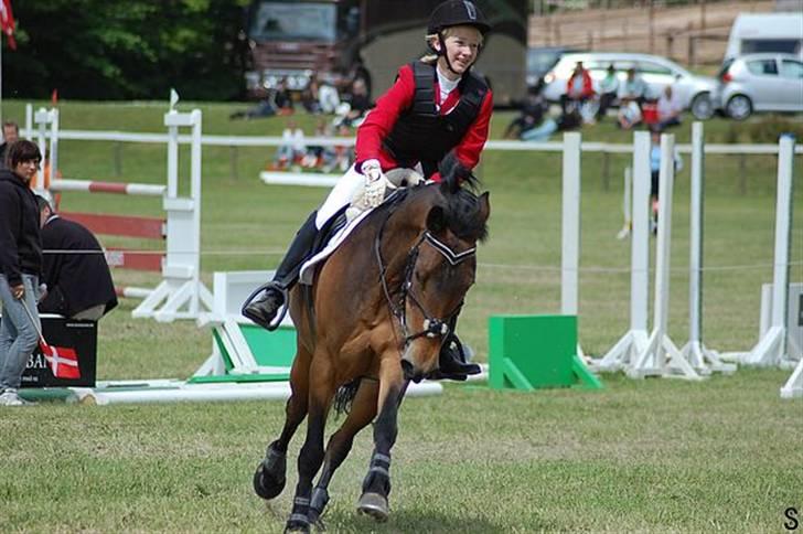 New Forest Miss Jeanette ( solgt )<3 - miss<3 glade efter en god runde ;P Foto: Sanne Kolind ;P billede 8
