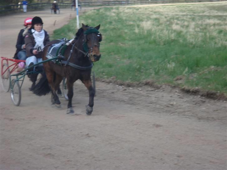 Anden særlig race Freddy*aflivet d. 2/6-09* - Mika og Freddy - oldboyes billede 14