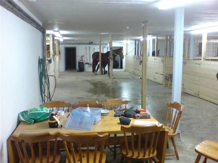 Anden særlig race Bakkebos Champ - Den fine stald hestene nu står i :-) billede 19