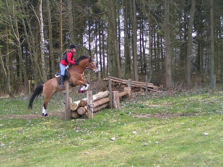 Anden særlig race Tue R.I.P billede 7