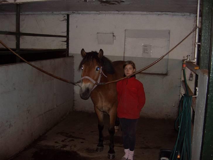 Anden særlig race Tue R.I.P - Det er dagen efter at tue er kommet i voers hænder:P billede 8