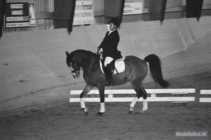 DSP Pilot af Idskov - Velkommen, til Pilot af Idskovs profil<3      billede 3