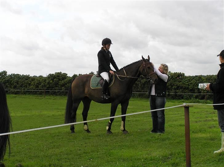 Dansk Varmblod Stjer´cerre AH - Og fik en flot placering billede 7