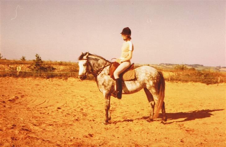 DSP Trikka - Trikka og jeg i 1980. JA DENGANG var der ikke al mulig fancy rideudstyr - da var det ret normalt at lave feks underlag selv som her. billede 6