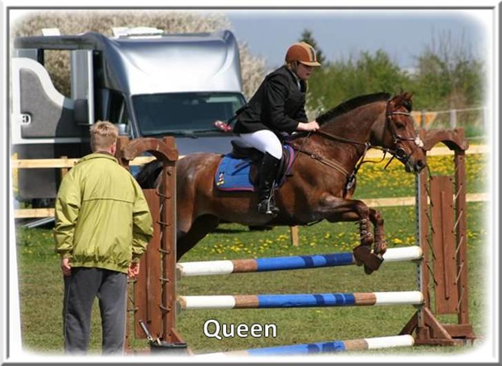 Anden særlig race | Queen | - ¤* 3 *¤ - Queen og Lonnie til springstævne pp KER LB. Foto: Sabine billede 3
