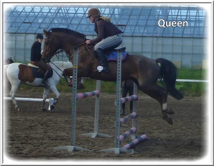 Anden særlig race | Queen | - ¤* 10 *¤ - Queen og Lonnie til træning på AND. Foto: Mig billede 10