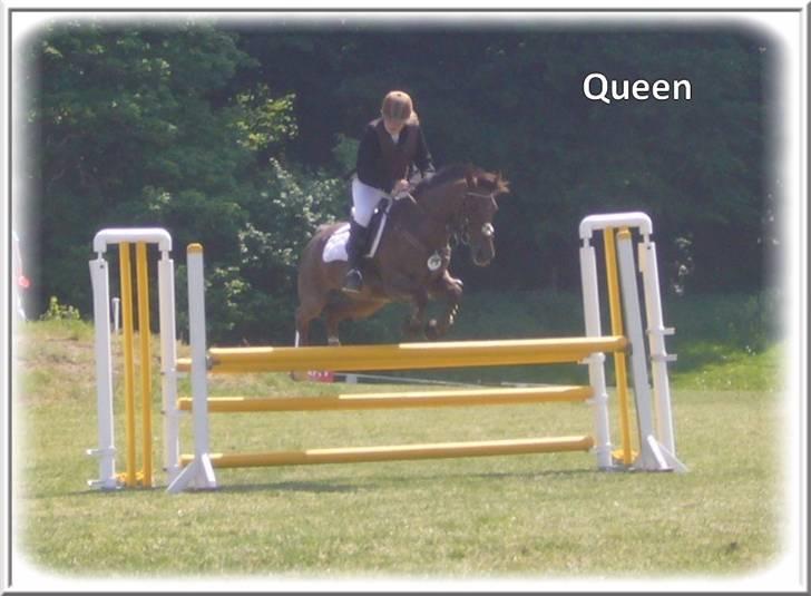 Anden særlig race | Queen | - ¤* 11 *¤ - Queen og Lonnie til stævne i Bellinge. LA. Foto: Mig billede 11