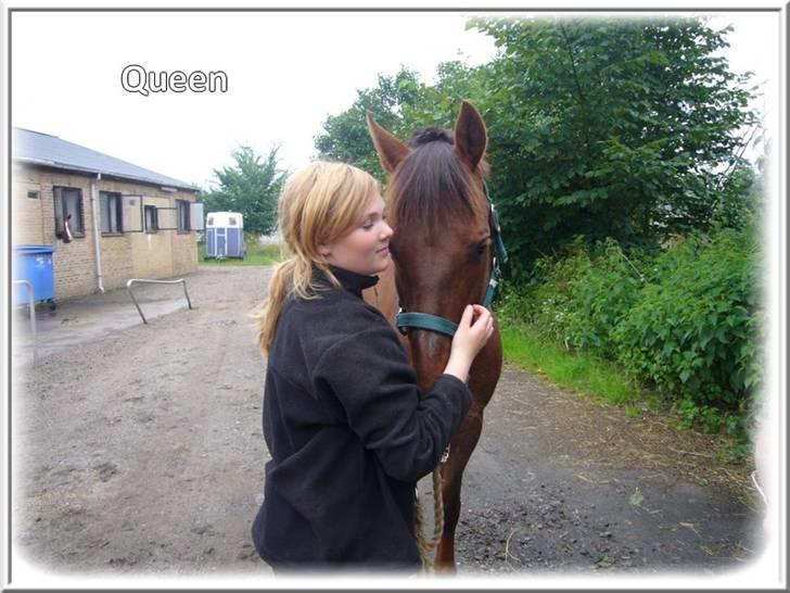 Anden særlig race | Queen | - ¤* 18 *¤ - Queen og Lonnie. Den dag Queen kom. Perfekt<3 Foto: Mig billede 18