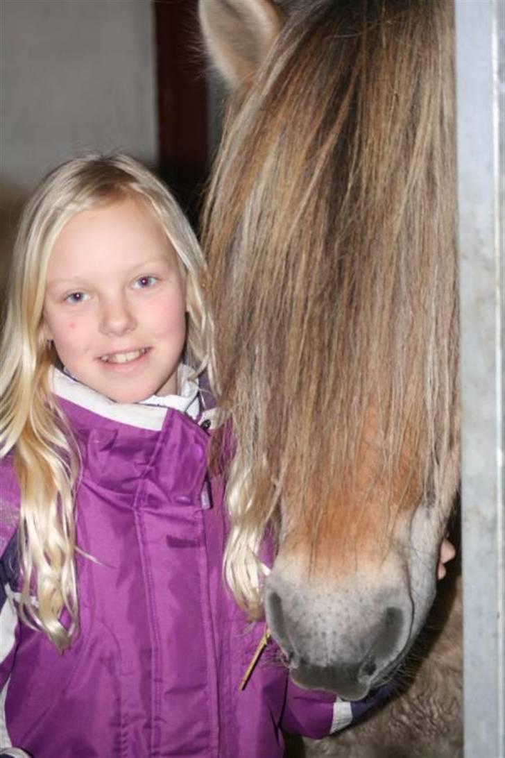 Fjordhest Granit Halsnæs ELITE FJ - Kærlighed ved første blik.. billede 9