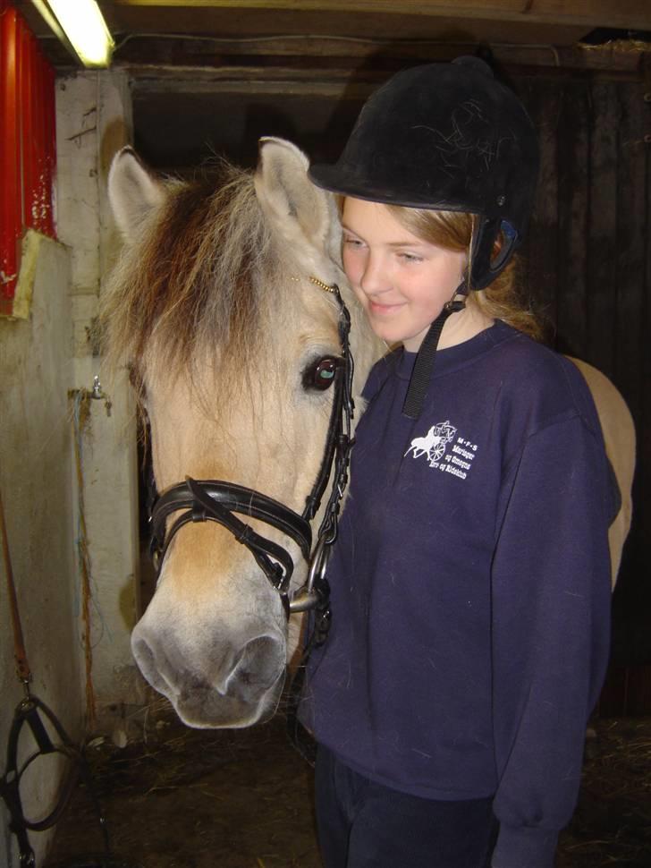 Fjordhest BINE R.I.P. - 1. The greatest thing you'll ever learn is just to love and be loved in return - Tak Bine <3  billede 1