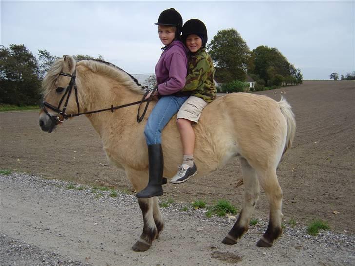 Fjordhest BINE R.I.P. - 5. Min lillebror, Daniel og jeg på Bine ude på grusvejen.. billede 5
