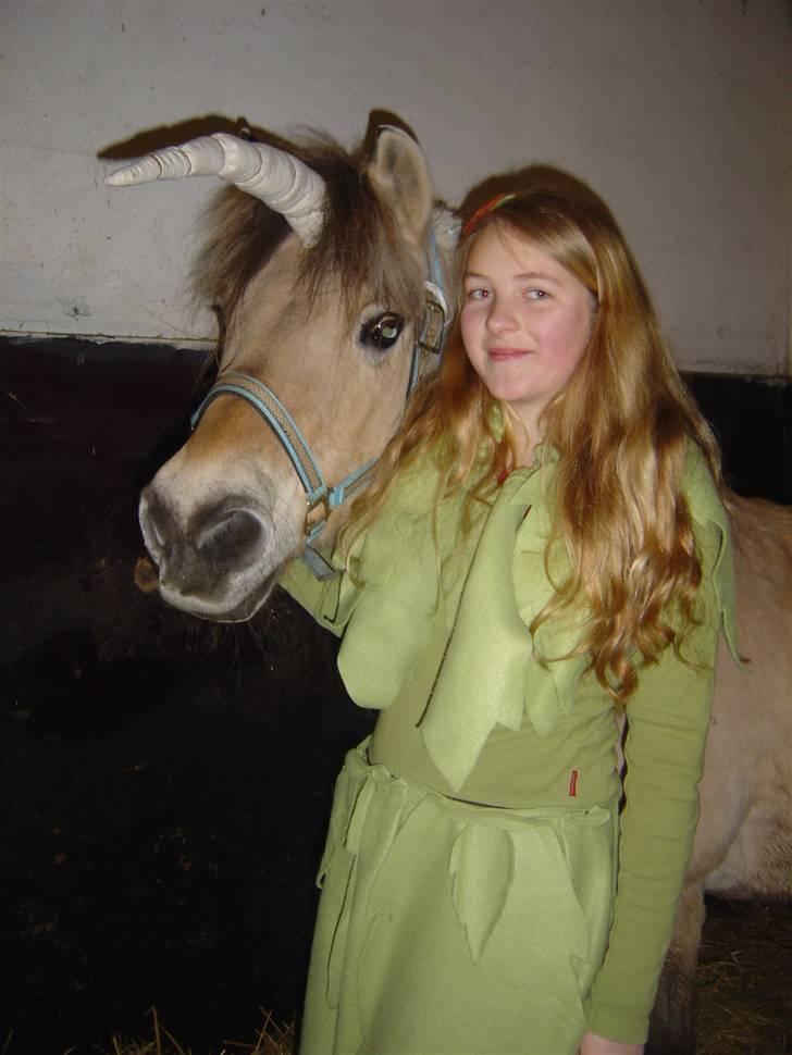 Fjordhest BINE R.I.P. - 8. På rideskolen til fastelavn, som enhjørning og alf;) 2006.. Hun var som en livsglad unghest det sidste år, hvor vi rigtig fandt hinanden :) billede 8
