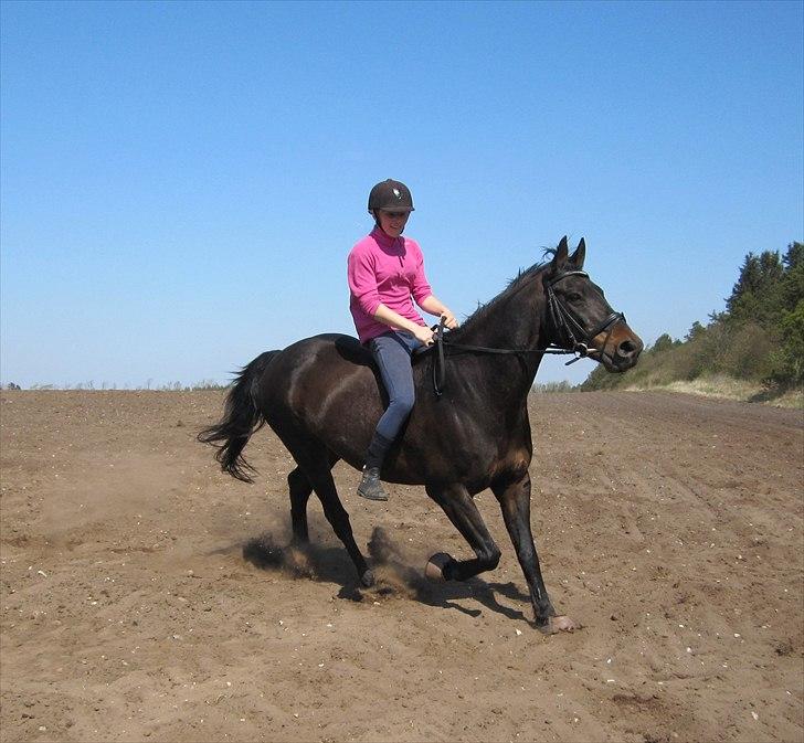 Anden særlig race Conrad <3 billede 12