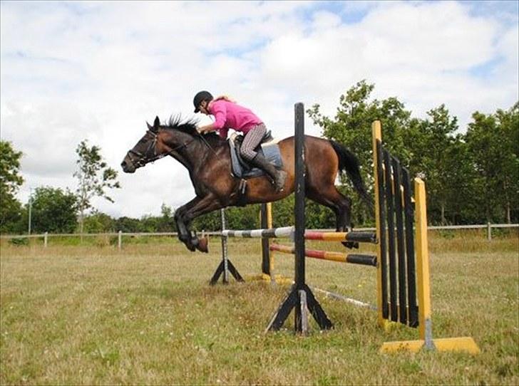 Anden særlig race Conrad <3 billede 14