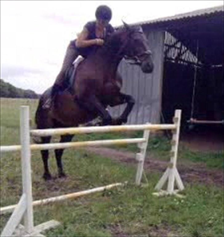 Anden særlig race Conrad <3 - 105 cm :D:D billede 15