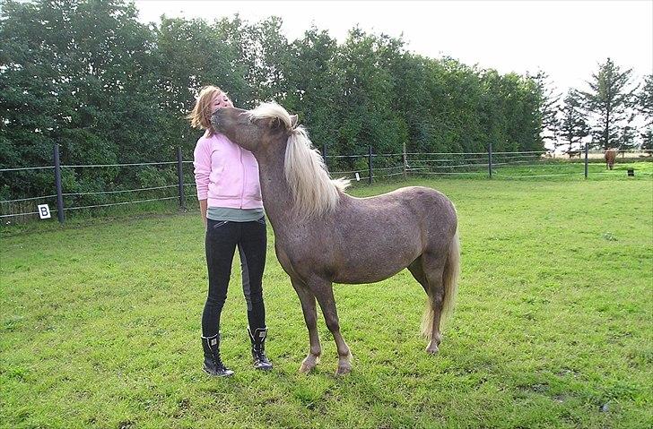 Anden særlig race Figaro - Hygge trold :o). billede 13