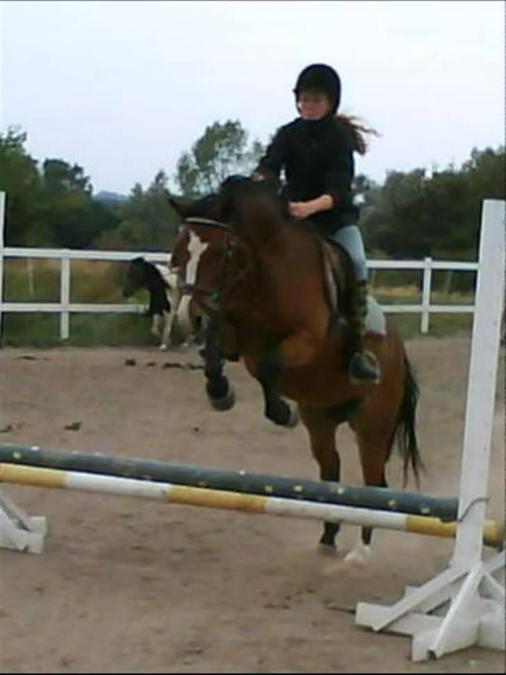 DSP Cavalie's Spoky Joker - Vi springer............ billede 18