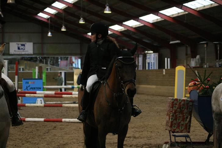 New Forest Fnuggi billede 18