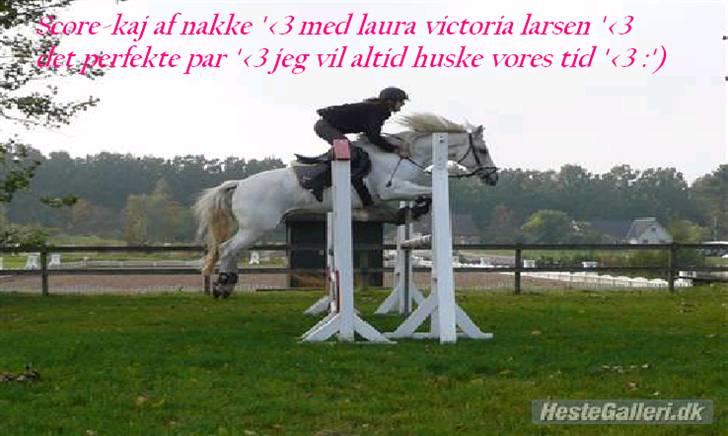 Anden særlig race Score-Kaj af Nakke<3 - you will always be in my heart ´<3 miss you skat´<3 :´( billede 20