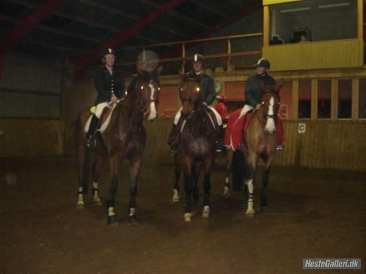 Dansk Varmblod Liona *LÅNEHEST* - Til vores 1. stævne, fra venste Tine&Latino, Mig&Liona, Mette&Campari "De er allesammen søskende". billede 5