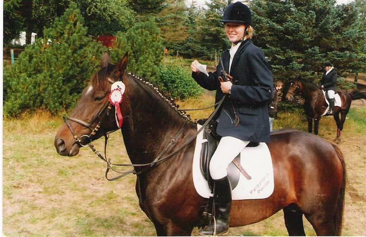 Dansk Varmblod Pandumbros Pernille  billede 5