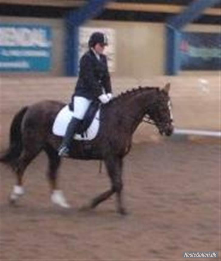 Anden særlig race Nynne (halvpart)  TIDER:/ billede 15