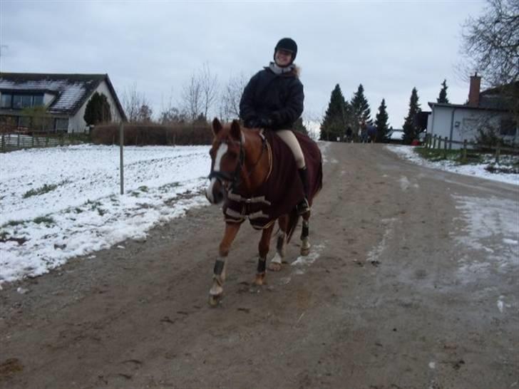 DSP Fruetoftens Lucky. xpart - Lucky og jeg rider i sneen.. ? billede 8