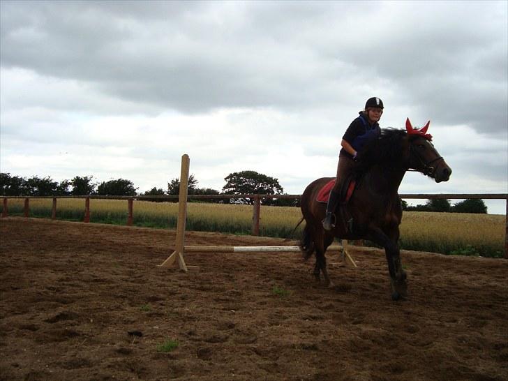 Oldenborg Jasmin - 7) Jasse i fuld galop efter et spring... <3 billede 7