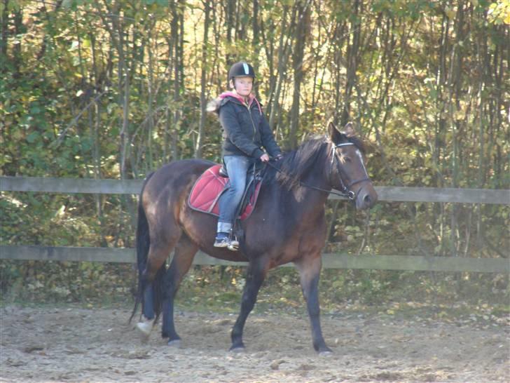 Oldenborg Jasmin - 8) Mig og Jasse på ridebanen Foto: Far billede 8