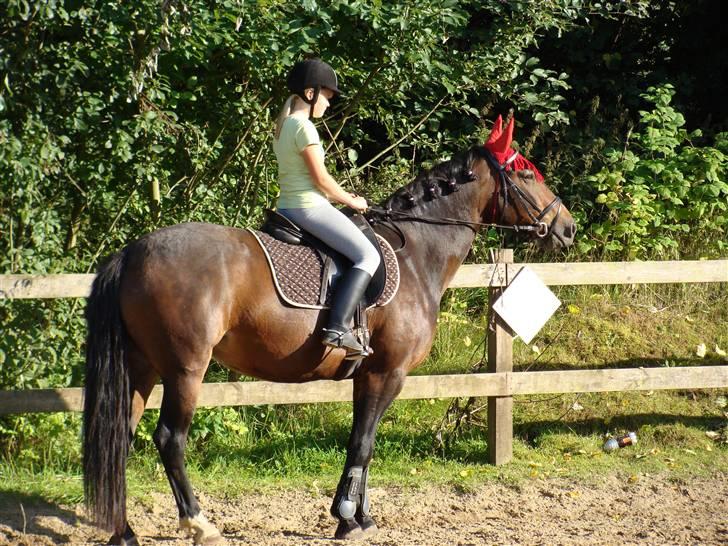 Oldenborg Jasmin - 9) Mig og min smukke hest Foto: Far billede 9